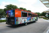 Picture of 2 Day Naples Trolley Tour